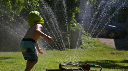 Die Berliner Wasserbetriebe sehen im Sommer ihre „Kapazitätsgrenzen, vor allem im Hinblick auf die Nutzung in Gärten.“ 