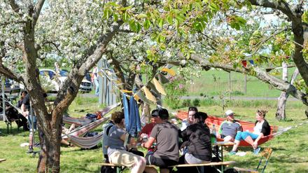 Auf der Plantage des Vereins Zuckerbaum sitzen die Besucher gemütlich unter alten Apfelbäumen. 