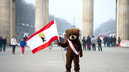 Verbotenes Motiv. Ein Berliner Bär posiert vor dem Brandenburger Tor für Touristen, die für ein Foto mit ihm bezahlen sollen. 