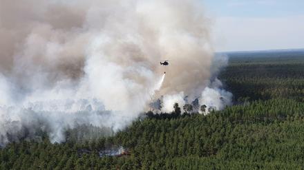 In der Lieberoser Heide (Dahme-Spreewald) haben rund 100 Hektar Wald gebrannt. 