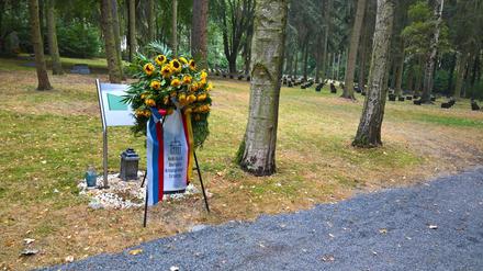 Lernen durch Pflege auf dem St. Hedwigs-Friedhof in Lichtenberg.