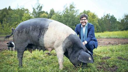 Sauwohl. Senator Dirk Behrendt zu Besuch beim Sattelschwein auf der Domäne Dahlem.