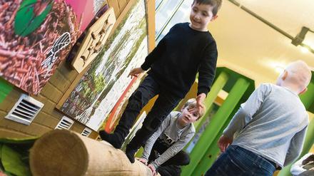 Kinder erkunden die Ausstellung "Natürlich heute! Mitmachen für morgen" im Labyrinth-Kindermuseum.