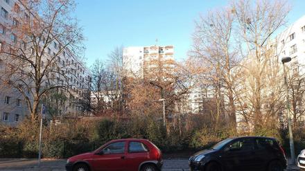 Auf diesem Grundstück in der Krautstraße unweit vom Strausberger Platz will die landeseigene WBM einen Wohnturm errichten, auf dem Nachbargrundstück soll ein weiteres Hochhaus entstehen.