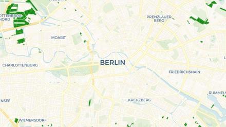 In der Berliner Innenstadt gibt es kaum noch Kolonien.