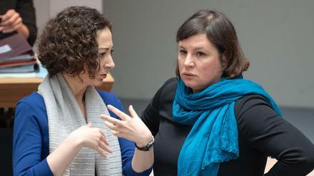 Wer von den beiden wird die neue Spitzenkandidatin der Berliner Grünen? Ramona Pop (links) oder Antje Kapek (rechts)?