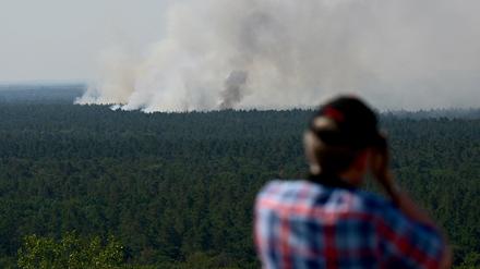 Großflächiger Waldbrand im Grunewald im August 2022.