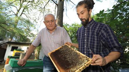 Nur die Ruhe. Der zukünftige Imker Vasilji Vitrak lernt bei „Bienen-Guru“ Benedikt Polaczek, wie Völkerverständigung funktioniert.