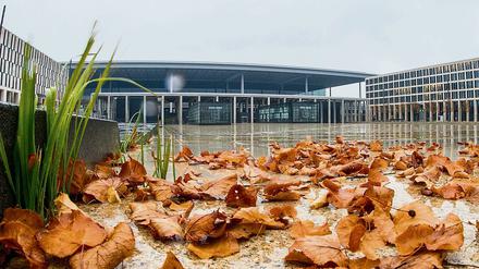 Herbstlaub liegt im trüben und verregneten Wetter vor dem Terminalgebäude des Hauptstadflughafens Berlin Brandenburg Willy Brandt (BER).