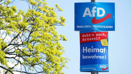 Plakate der AfD zur Europawahl.