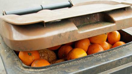 Bremer Biomülltonne mit Apfelsinen und Mandarinen oder Clementinen