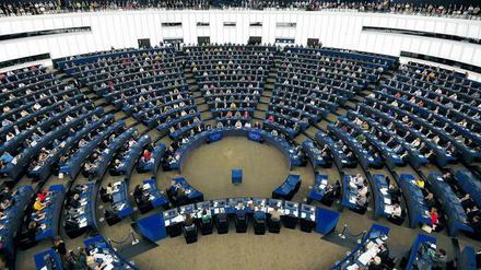 Meinungsforscher zählen 251 EU-Skeptiker im Europaparlament. Das ist ein Drittel aller Abgeordneten.