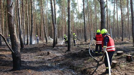 Feuerwehrleute löschen einen Brand im Wald bei Dreetz in der Ostprignitz. 