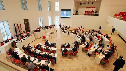 Landtag Brandenburg, Landtagssitzung, Plenarsaal