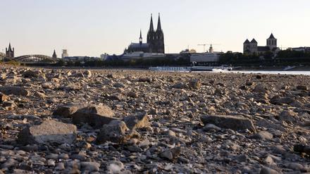 Extrem geringe Wasserstände der Flüsse im Sommer 2022 beeinträchtigten die Schiffbarkeit, wie etwa hier am Rhein bei Köln.