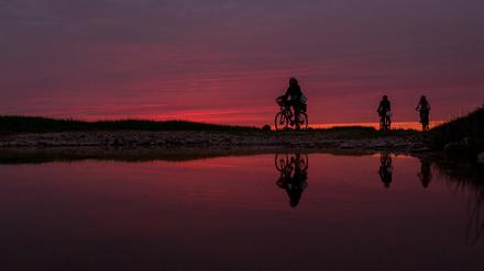 Ausflügler fahren am 12.08.2015 mit ihrem Fahrrad bei Gülpe (Brandenburg) auf einem Feldweg entlang und spiegeln sich dabei in einer Pfütze. Foto: Lukas Schulze/dpa ++ +++ dpa-Bildfunk +++