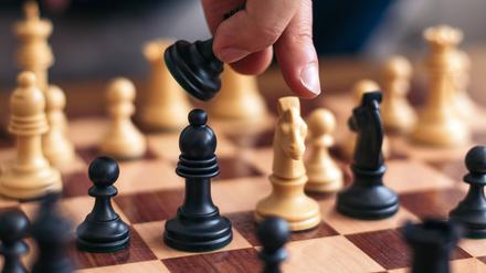 Im Schach gibt es üblicherweise zwei Arten von Turnieren: offene Turniere und Frauenturniere.