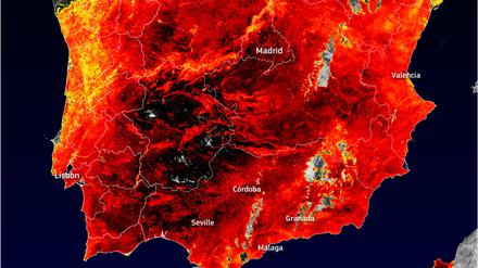 Während der tödlichen Hitzewelle in Europa ist die Bodentemperatur in einigen Gebieten Spaniens auf über 60 °C angestiegen, wie Satellitenaufnahmen zeigen.