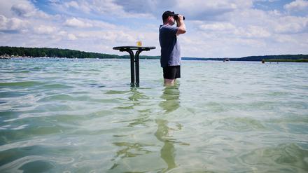 Ostsee? Nö. Werbellinsee! Ein Mann steht in den klaren Wassern Brandenburgs.