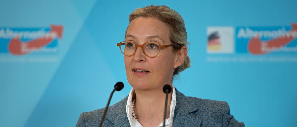 Alice Weidel, Fraktionsvorsitzende der AfD, spricht während eines Pressestatements nach der Sitzung der Bundestagsfraktion (Archivbild vom 12.03.2024).