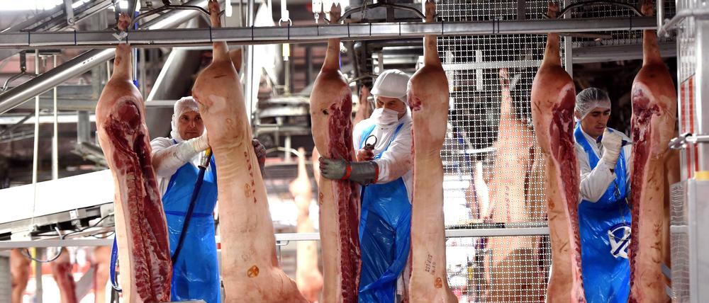 In der Fleischverarbeitung sind in Deutschland besonders viele Menschen aus anderen Ländern beschäftigt.