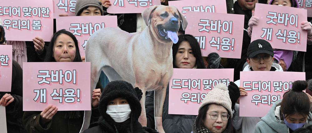 Auch Südkorea stellt den Handel mit Hundefleisch nun unter Verbot.