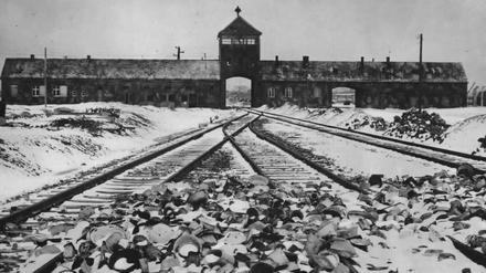 Zum siebzigsten Mal jährt sich am Dienstag die Befreiung des Vernichtungslagers Auschwitz-Birkenau durch sowjetische Truppen. Drei Berliner Institutionen zeigen Filme zum Holocaust