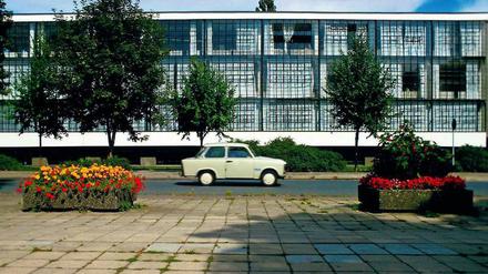 Das historische Bauhausgebäude in Dessau (Foto) ist auch heute noch die Hauptattraktion für Besucher der Stadt. 