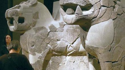Ein Löwenpaar aus Basalt.