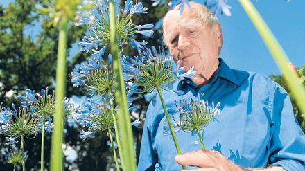 Flora et labora. Martin Walser schaut sich in seinem Garten im Überlinger Ortsteil Nussdorf die Schmucklilien an. Foto: dapd