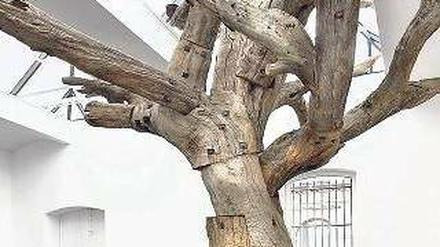 Überlebensgroß. Die Installation des in Peking verschleppten Ai Weiwei bei Neugerriemschneider bringt totes Holz und Porzellan zusammen. 