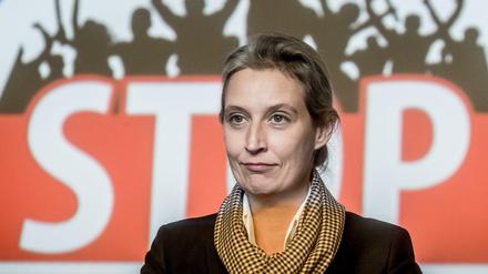 Die Fraktionsvorsitzende Alice Weidel und ihre AfD kämpfen im Bundestag gegen den Migrationspakt.