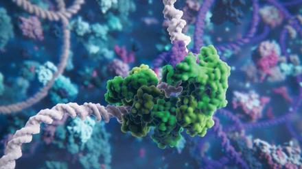 Die Gen-Schere "CRISPR/Cas9" (grün) kann das Erbgutmolekül DNA (weiß) gezielt verändern. 