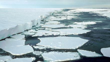 In der Antarktis könnte es in den nächsten Jahrzehnten eine verheerende Kettenreaktion geben. 