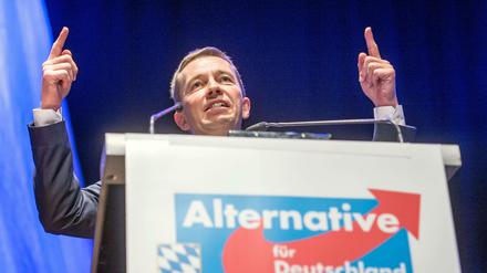 Neuer Versuch: Bei einem Parteitag Ende Januar will Bernd Lucke erneut alleiniger Parteichef werden.