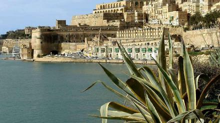 Malta. Ein Referendum soll darüber entscheiden, ob die Vogeljagd verboten werden soll.