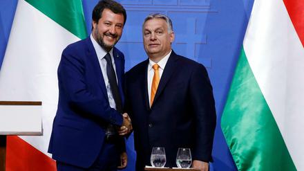Matteo Salvini (links) von Italiens Lega und Ungarns Ministerpräsident Viktor Orban wollen noch enger zusammenrücken.