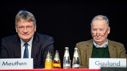 Im Visier des Verfassungsschutzes: AFD-Vorsitzender Alexander Gauland (r.) und Co-Vorsitzender Jörg Meuthen.