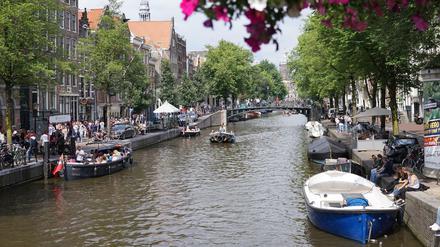 Bei den Kommunalwahlen in Amsterdam treten vier Parteien mit Migrationshintergrund an.