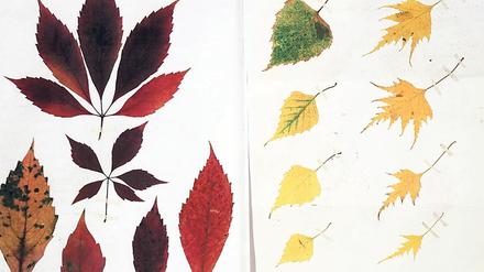 Künstler Manfred Butzmann zeigt in „en détail“ Kopien aus seinen Tagebüchern – worin er Blätter der Farbe nach sortiert hat.