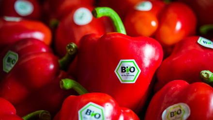 Bio-Lebensmittel sind häufig teurer als die konventionellen Alternativen.