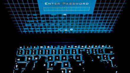 Einfallstor. Über das Internet können Kriminelle oft allzu leicht in Computernetzwerke eindringen und schädliche Software platzieren – mit verheerenden Folgen. 