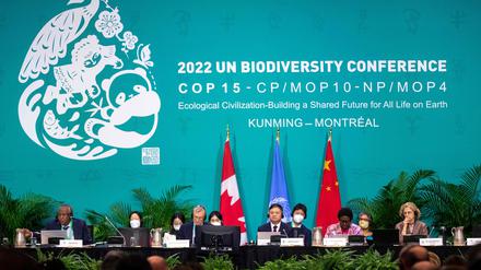 Chinas Umweltminister Huang Runqiu besiegelte das Abkommen am frühen Morgen des letzten Konferenztags.