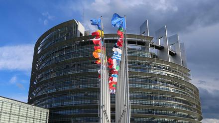 Europafahnen und Nationalfahnen der EU-Mitgliedsstaaten vor dem Europäischen Parlament in Straßburg.
