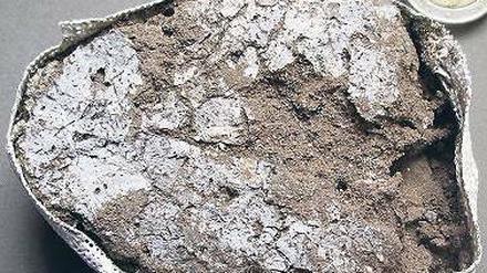  Das Foto zeigt versteinerte Blattreste, die vermutlich als Matten dienten. 