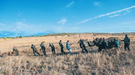 Ranger und ihre Familien können von der Arbeit im Kruger National Park leben. 