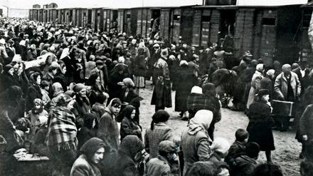 Ankunft von ungarischen Juden in Auschwitz-Birkenau im Juni 1944