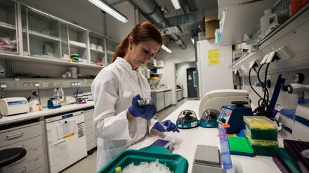 Eine Wissenschaftlerin arbeitet in einem Labor für Molekulare Biologie mit einer Pipette an Proben.