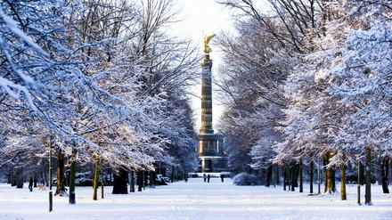 Spaziergänge durch schneebedeckte Parks - hier der Tiergarten aus dem Archiv - werden in Berlin und Potsdam immer seltener möglich.